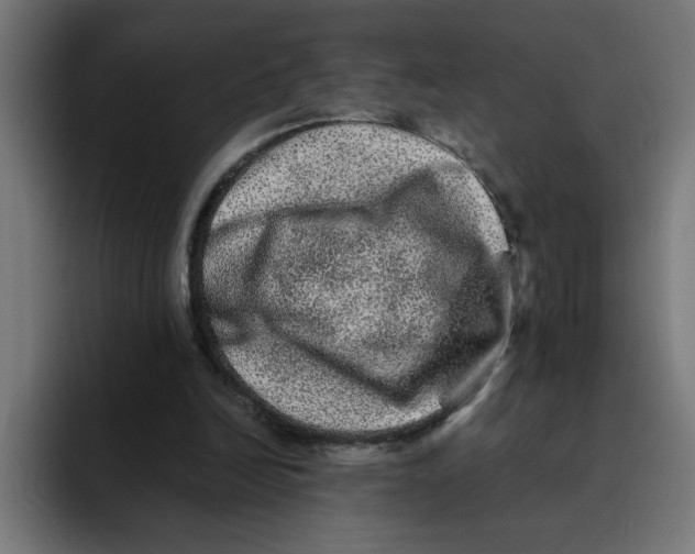 X0000094820246200712071251