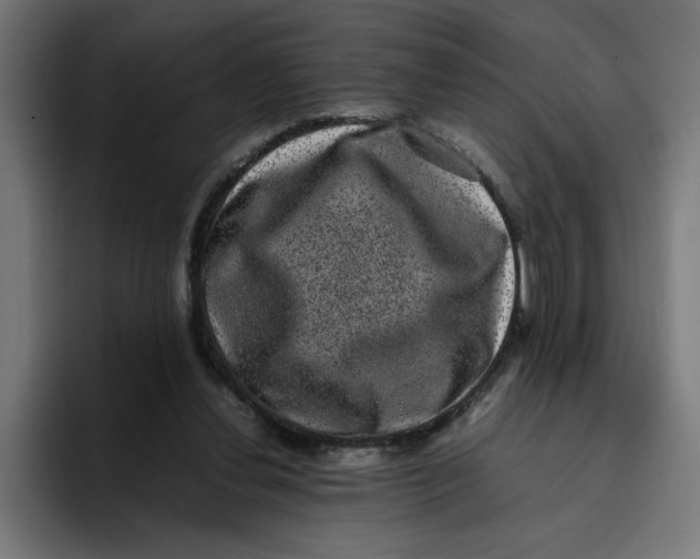 X0000094820252200712071251