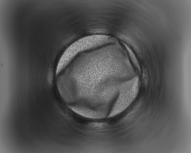 X0000094820255200712071251
