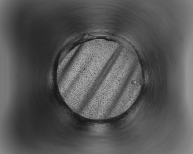 X0000094820256200712071251