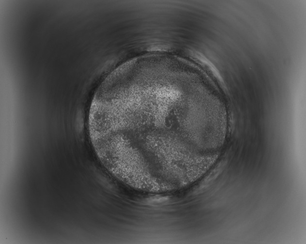 X0000094820257200712071251