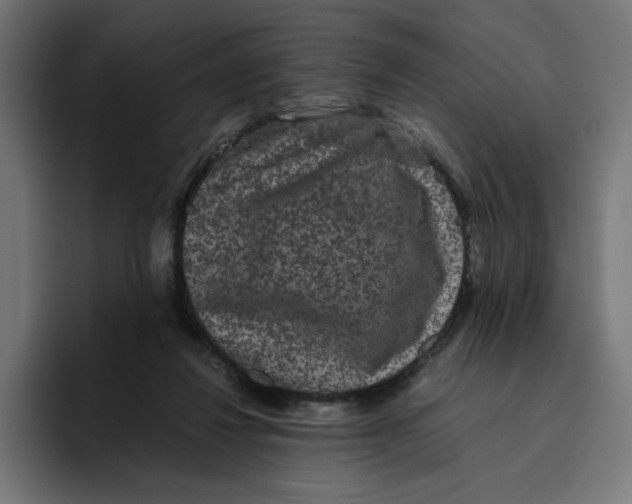X0000094820260200712071252