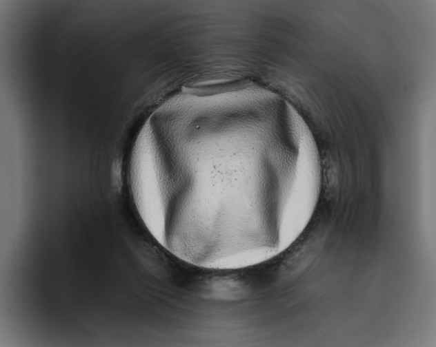 X0000094820262200712071252