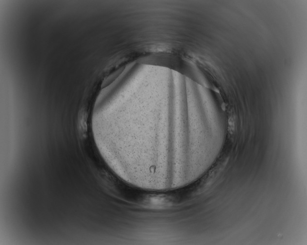 X0000094820264200712071252