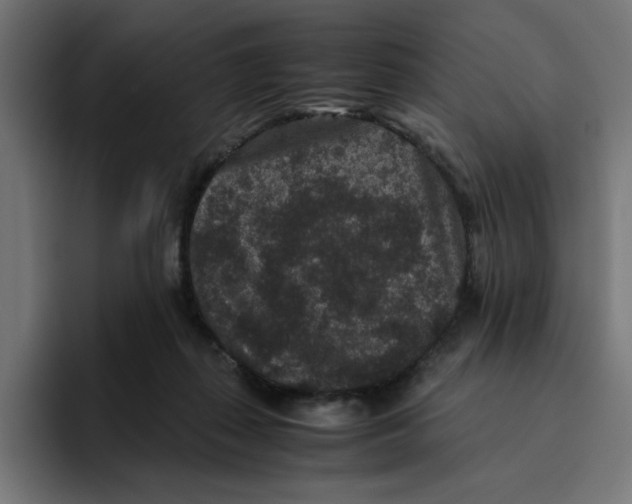 X0000094820267200712071252
