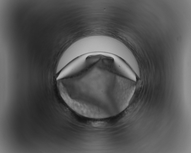 X0000094820268200712071252