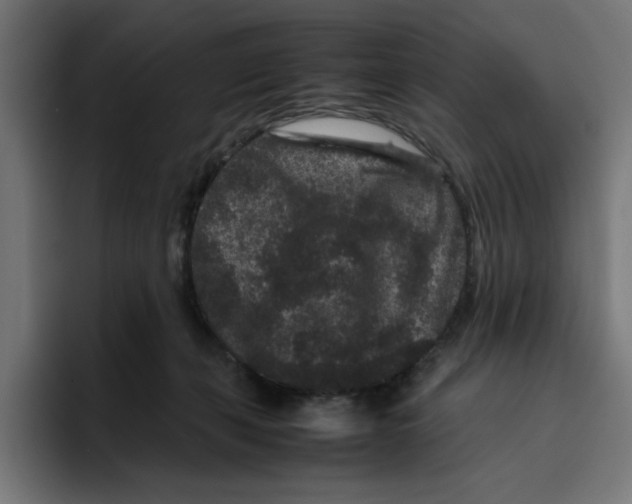 X0000094820271200712071252