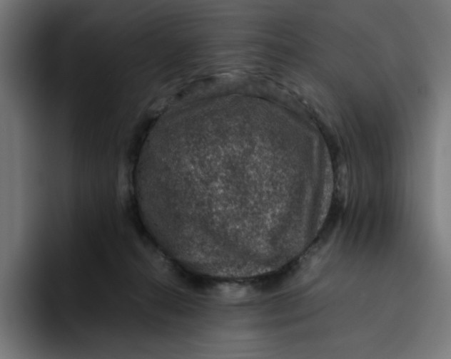 X0000094820272200712071252