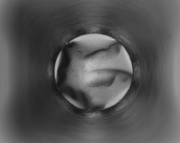 X0000094820274200712071252