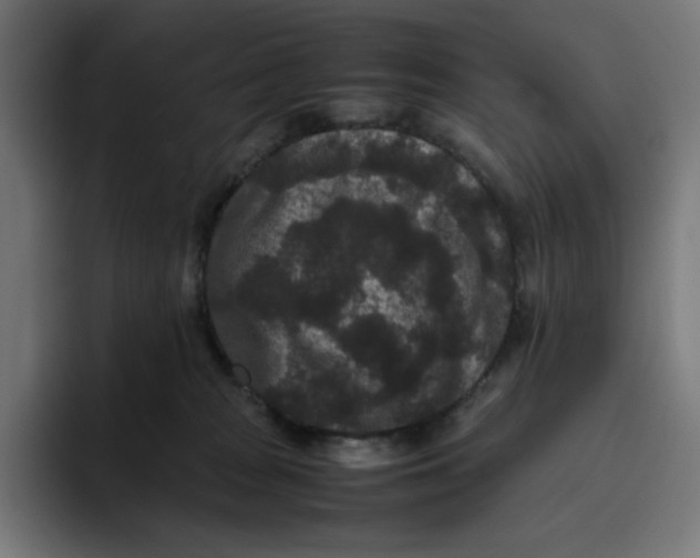 X0000094820277200712071252