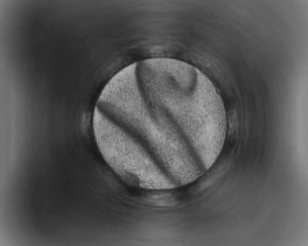 X0000094820278200712071252