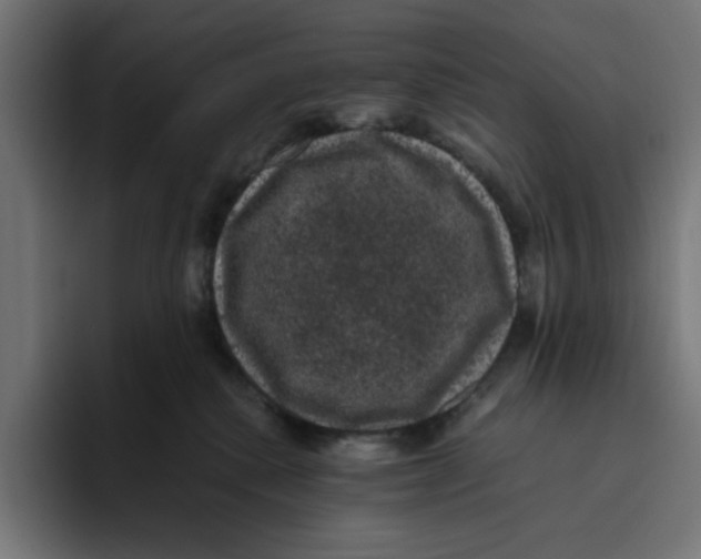 X0000094820280200712071252