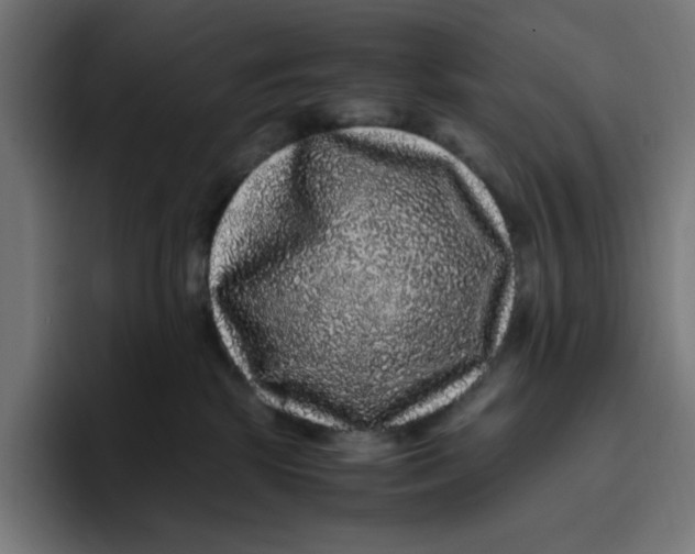 X0000094820281200712071252