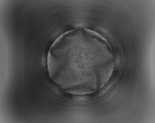 X0000094820282200712071252