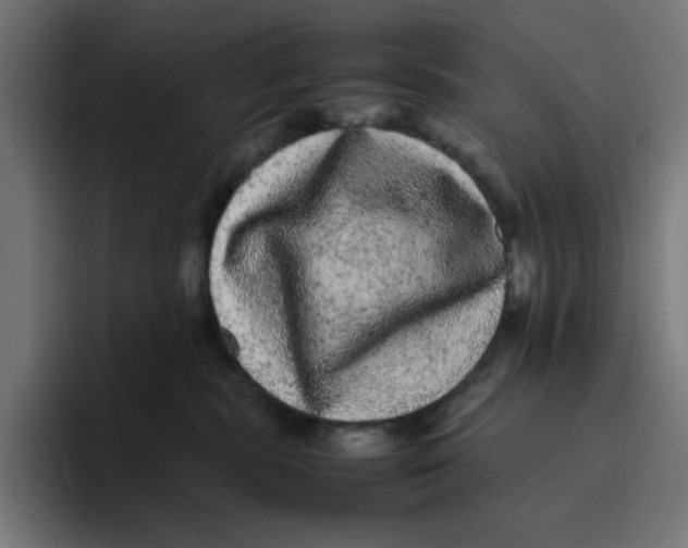 X0000094820283200712071252