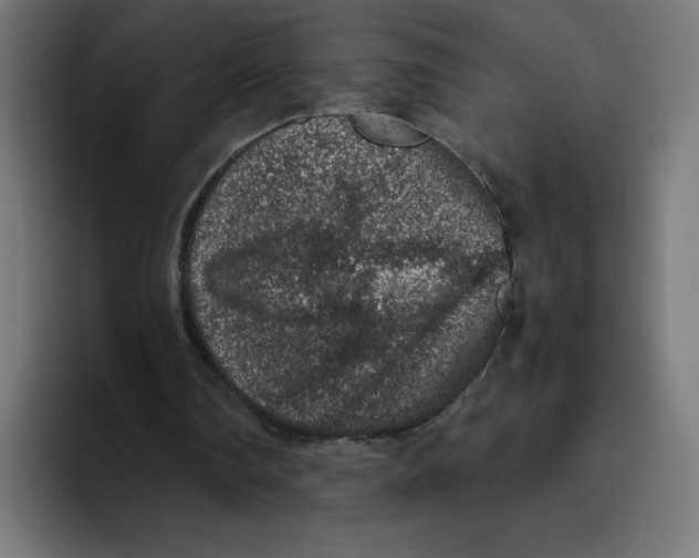 X0000094820290200712071251
