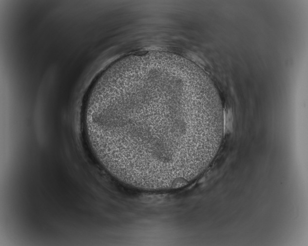 X0000094820291200712071251