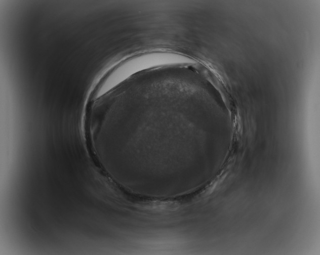 X0000094820292200712071251