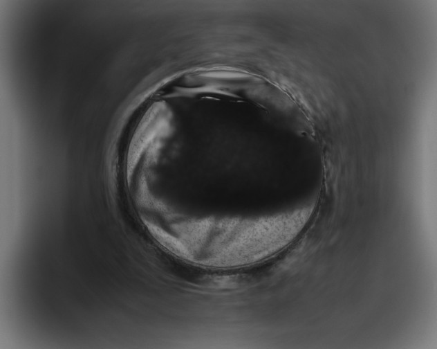X0000094820295200712071251