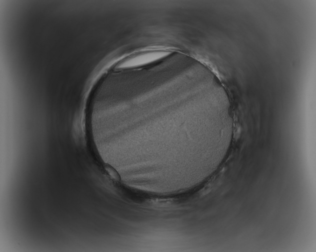 X0000094820296200712071251