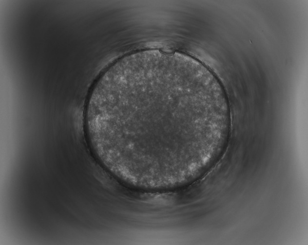 X0000094820297200712071251