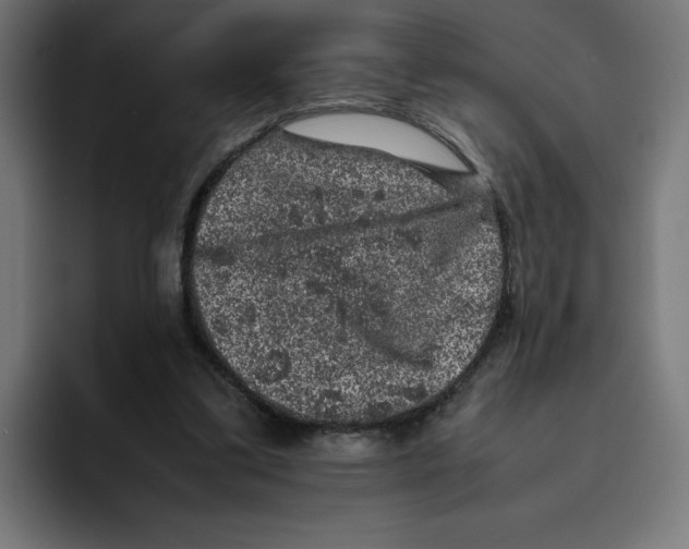 X0000094820299200712071251
