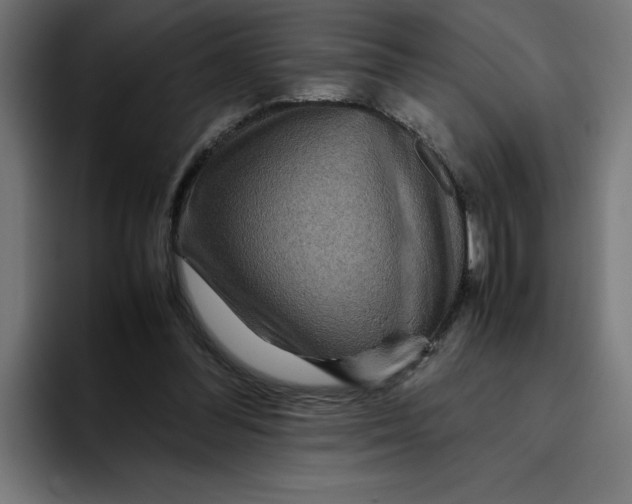 X0000094820300200712071251
