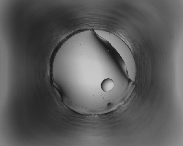 X0000094820301200712071251