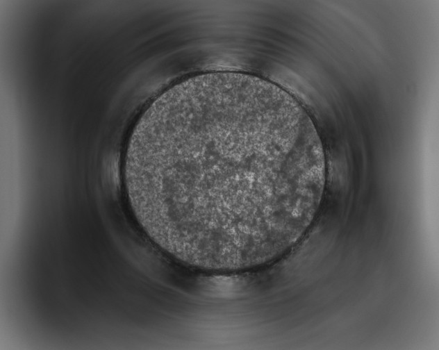 X0000094820302200712071251