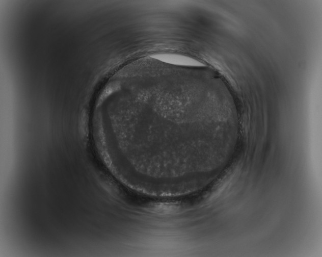 X0000094820303200712071251