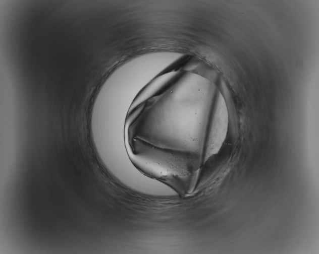X0000094820305200712071251