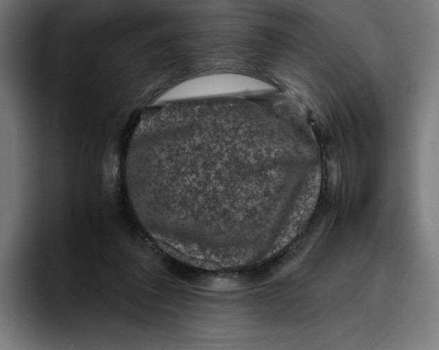 X0000094820308200712071251