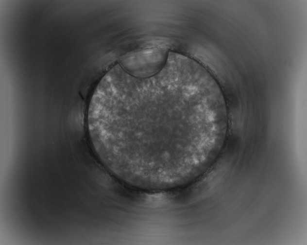X0000094820309200712071251
