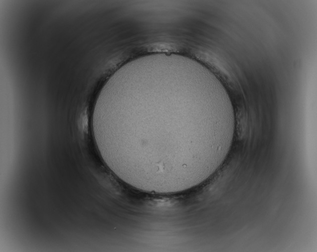 X0000094820310200712071251