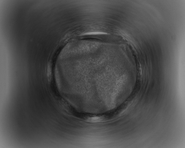 X0000094820312200712071251