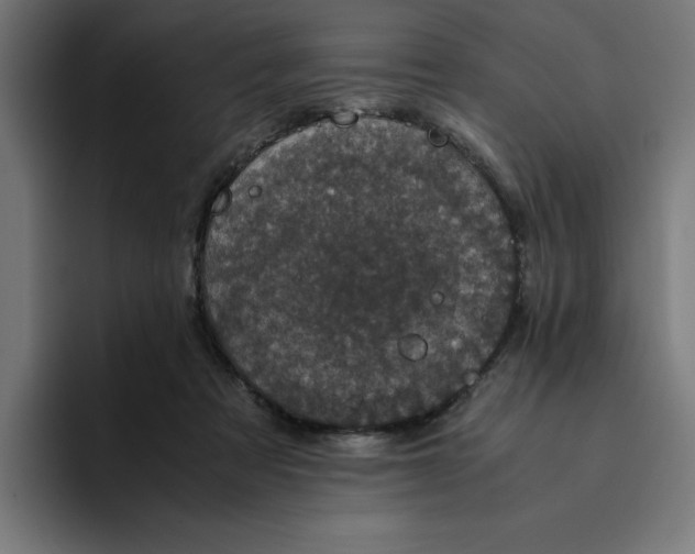 X0000094820313200712071251