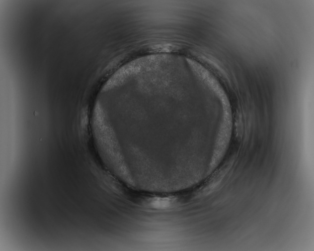X0000094820314200712071251