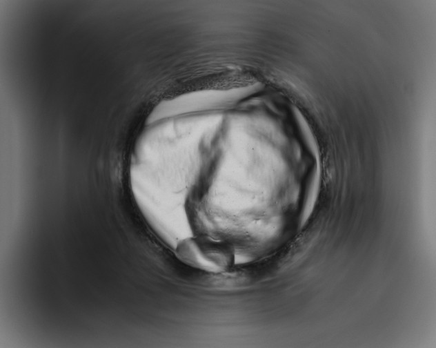 X0000094820315200712071251