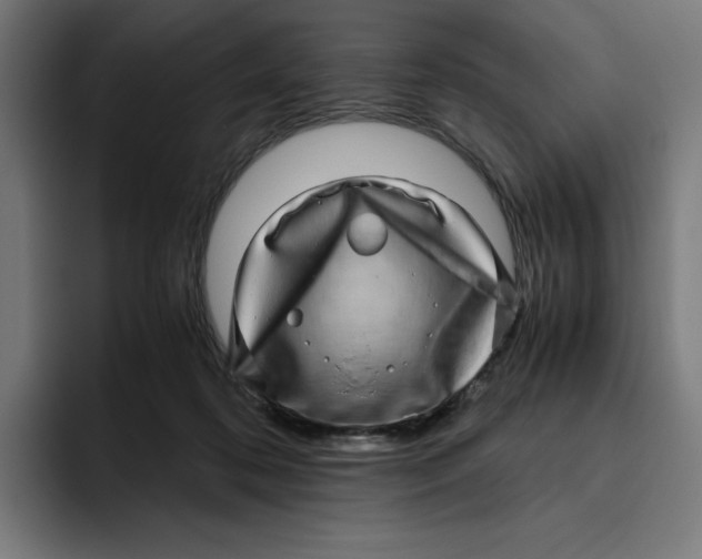 X0000094820316200712071251