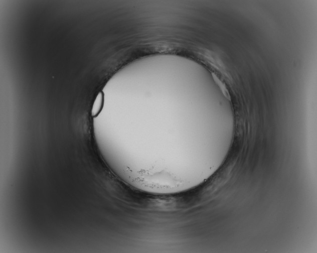 X0000094820317200712071251