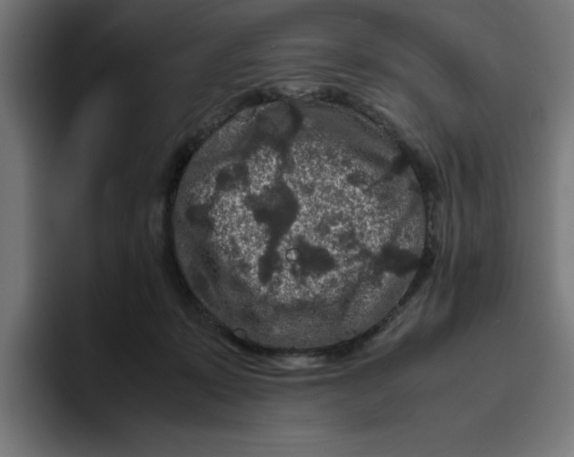 X0000094820319200712071251