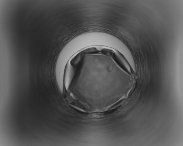 X0000094820320200712071251