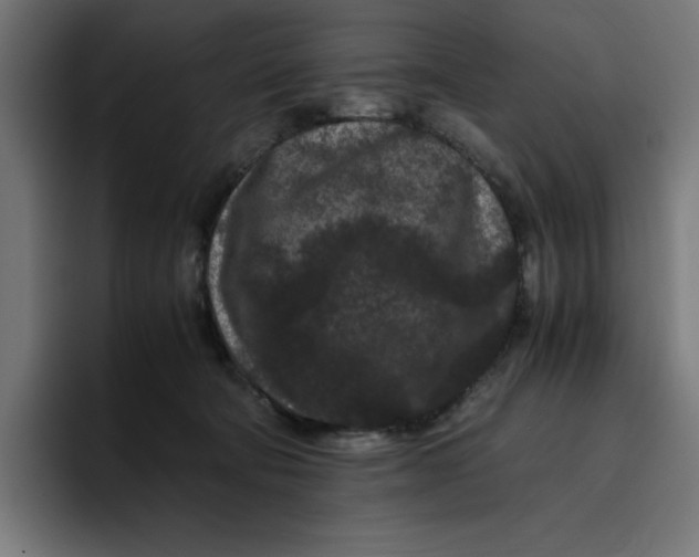 X0000094820322200712071251