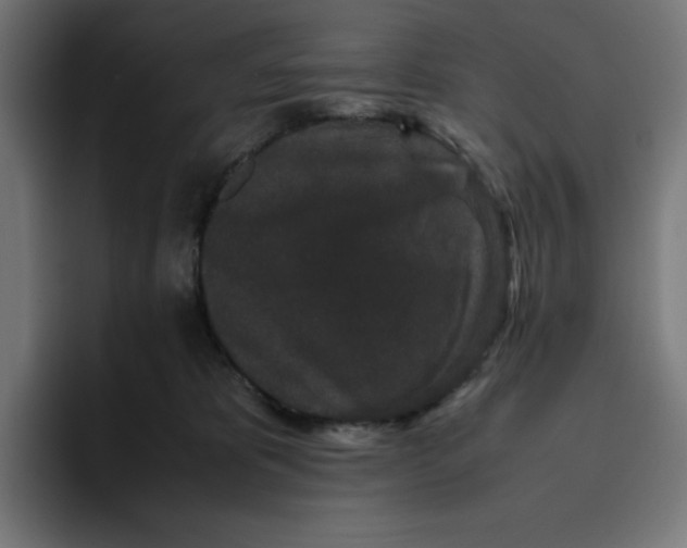 X0000094820325200712071251