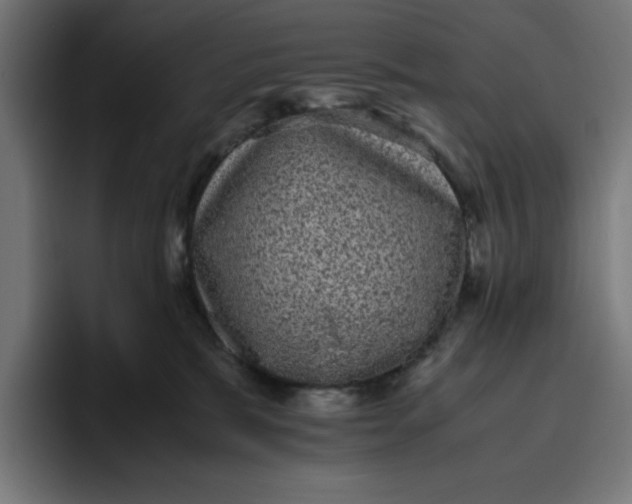 X0000094820327200712071251