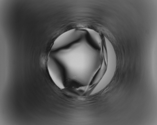 X0000094820329200712071251