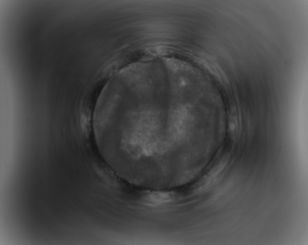 X0000094820332200712071251