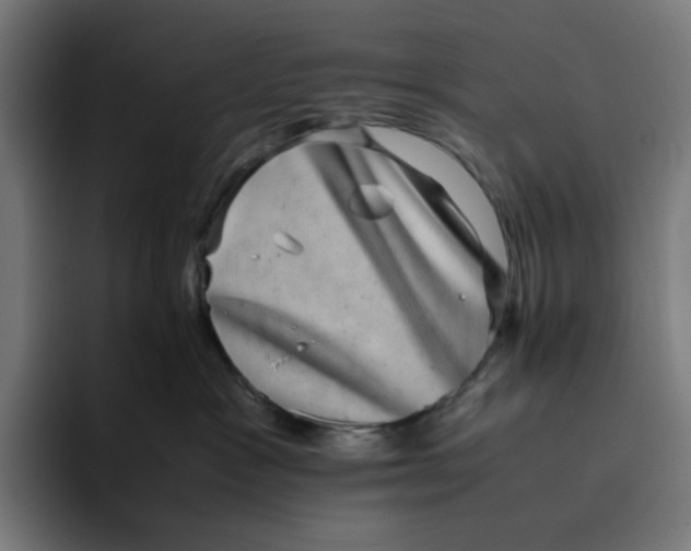 X0000094820333200712071251