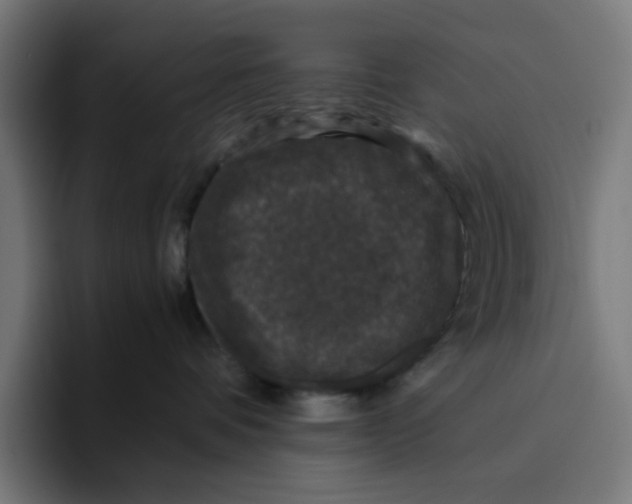 X0000094820336200712071251
