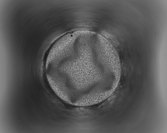 X0000094820338200712071250